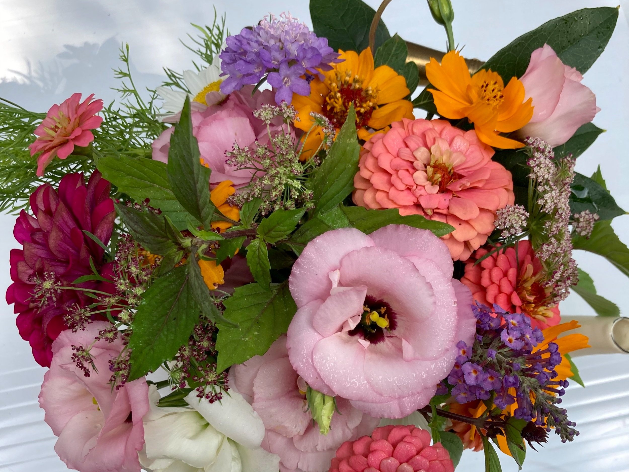 DeAnne+Benedict+-+F0C7FF62-8469-4EAC-AFC5-8CD3273209F1 Vibrant floral bouquet featuring pink and purple flowers, including zinnias, cosmos, and lisianthus, surrounded by lush green foliage, perfect for spring or summer decorations.